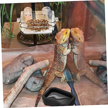 BESPORTBLE 2pcs Reptile Feeder Cup Water Dish Escape Feeding Bowl for Lizard Bearded Dragon Gecko Small Food-Grade Material Strong Suction Cup for Secure Placement