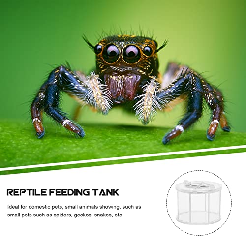 BESPORTBLE Transparent Acrylic Reptile Breeding Box Crawling Pet Holder Ventilation for Easy Maintenance Terrarium for Turtles Snakes Spiders and Crabs