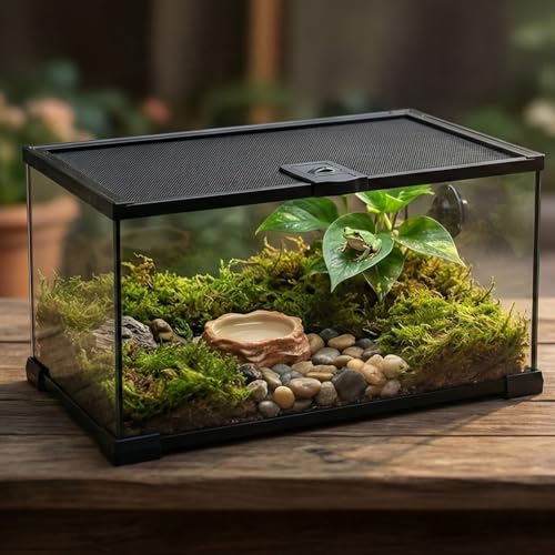 10 Gallon Reptile Tank: 20x12x10 Leopard Gecko Tank with Sliding Screen Top - Glass Terrarium with Lockable Lid for Small Lizard Snake Turtle Hermit Crab Habitat - Desert Dedcor Accessories - color: Glass, size: 20x12x10