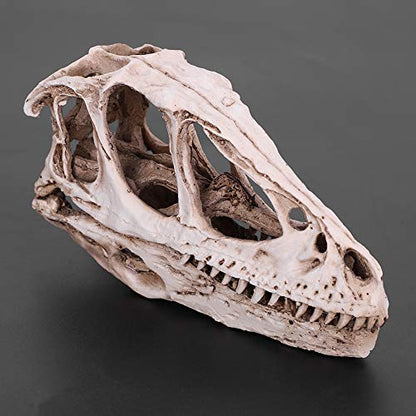CHICIRIS Resin Dinosaur Skull, Detailed Skeleton Model Statue for Aquarium, Terrarium, Fish Tank Decor ¨C Perfect for Home, Office, Classroom or Aquarium Enthusiasts