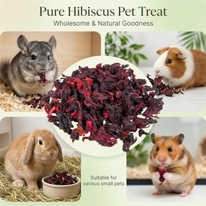 RAINFLOW Hibiscus Flower Treat (5.3oz)– Healthy Dried Hibiscus Flowers Small Animal Treats for Chinchilla, Guinea Pig, Natural Pet Snacks Hamster Treats for Rabbit,Rats, Squirrels, Sugar Glide