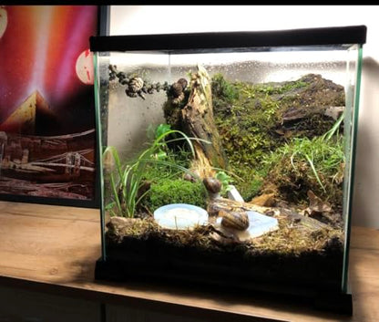 Terrarium Pro Kit – The Ultimate Snail Care Starter Pack for Giant African Land Snails, Helix Aspersa, Helix Pomatia, Grove Snails, etc