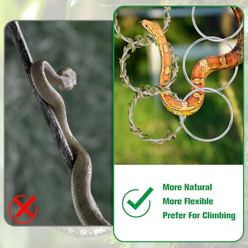 Catcan Snake Enrichment Rings for Ball Python, Snake Climbing Accessories Include Climbing Hoop Chain with Hanging Buckle and 5m Artificial Rattan Rope