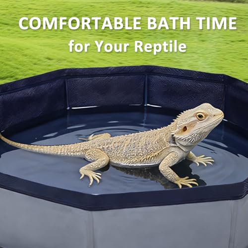 Eooqi Foldable Bearded Dragon Bathtub, Collapsible Reptile Bath Pool & Small Pet Water Tub, Portable Hard-Side Reptile Swimming Pool for Bearded Dragons, Hedgehogs and Hamsters (Gray, 19 x 3.5 in) - color: Gray