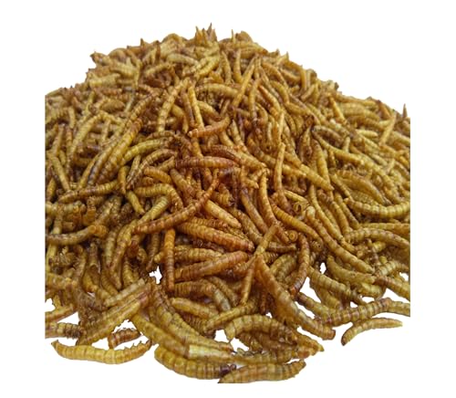 Mealworms- Freeze Dried Mealworms for Tropical Fish, Pond Fish, Reptiles, Turtles, Tortoises, Frogs, Hamsters, Birds, Rodents…10oz Med Jar