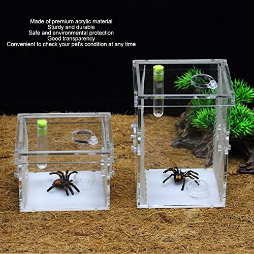 Reptile Enclosure Tank, Mini Acrylic High Transparency Moisturizing Reptile Breeding Box, Acrylic Reptile Cage Terrarium Tank for Tarantula Scorpion Sling Isopods(L)