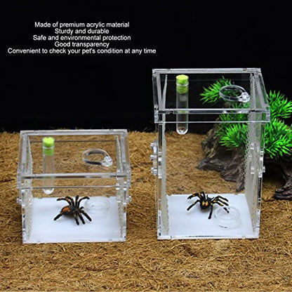 Reptile Enclosure Tank, Mini Acrylic High Transparency Moisturizing Reptile Breeding Box, Acrylic Reptile Cage Terrarium Tank for Tarantula Scorpion Sling Isopods(L)