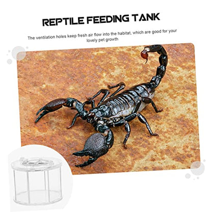 COLLBATH Transparent Reptile Breeding Box with Ventilation Feeding Case for Spiders Geckos and Snakes Durable Acrylic Habitat for Pet Display and Observation
