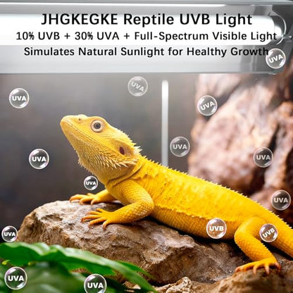 T5 10.0 UVB Reptile Light Fixture Combo Kit, 8W High Output UVA UVB Light with Upgraded Wider Alloy Reflector for Bearded Dragons Lizards Tortoises and Desert or Tropical Reptiles 12.4Inch - size: 12.4Inch