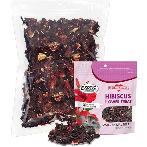 Hibiscus Flower Treat (8oz)- Healthy Natural Dried Flower Herbivore Treat - Chinchillas, Guinea Pigs, Rabbits, Prairie Dogs, Degus, Hamsters, Rats, Squirrels, Sugar Gliders & Other Small Pets - size: 8 Ounce (Pack of 1)