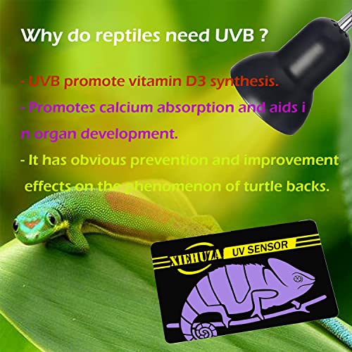 5Pack Quick UVB Test Sensor Cards, Reusable Reptile UVB Tester Heating Bulb Photochromic UVB Card Indicator Over 500 Times, UVB Light Meter for Sunglass Test Sterilizing