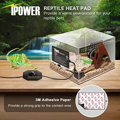 iPower Reptile Heat Mat Under Tank Warmer 4W/8W/16W/24W Terrarium Heater Heating Pad with Temperature Adjustable Controller Knob, Digital Thermometer and Hygrometerf or Amphibian, Multi Sizes - size: 4 X 7 Inch, style: 1 Pack with Adjustable Knob