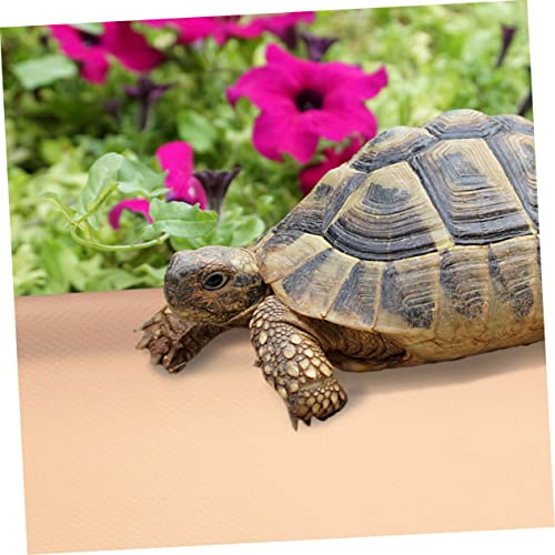 BESTonZON Reptile Carpet Terrarium Liner for Bearded Dragon Leopard Gecko Snake Soft Eva Mat