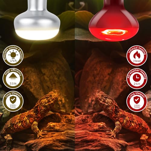 Reptile Infrared Heat Lamp Bulb 75W, 2-in-1 Day & Night Combo, Infrared Heat Lamp & UVA Sunlight Heating Lamp for Reptile Terrariums - style: Day & Night Heat Lamp 75W