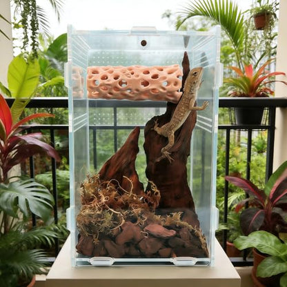 Jumping Spider Habitat - Magnetic Pet Hiding Shelter with Clear Climbing Walls, Secure Ventilated Design for Geckos, Frogs & Amphibians | Terrarium & Vivarium Decoration