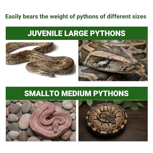 Snake Climbing Rings, 8 Rings Snake Climbing Chain with 2 Carabiners and Rope, Corn Snakes Enrichment Toys for Terrarium, Bearded Dragon, Chameleon, Lizard, Parrot,Reptile (38.3x4.3 in)