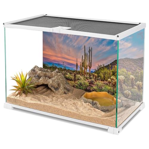 AWERT 48x20 inches Terrarium Background Blue Sky Cloud Huge Cactus Oasis Gobi Reptile Habitat Background Vinyl - size: 48x20in/120x50cm