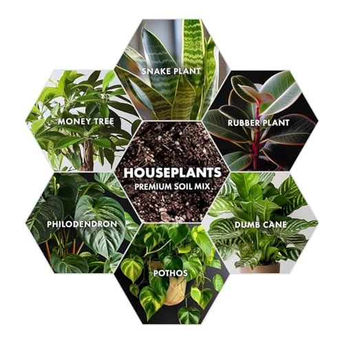 Premium Houseplant Soil Mix for Indoor & Outdoor Plants - Potting Soil for Monstera, Pothos, Snake Plants - Organic Blend for Growth -Potting Soil Indoor Plants Indoor Plant Soil - 4 Quarts - style: House Plant Soil Mix