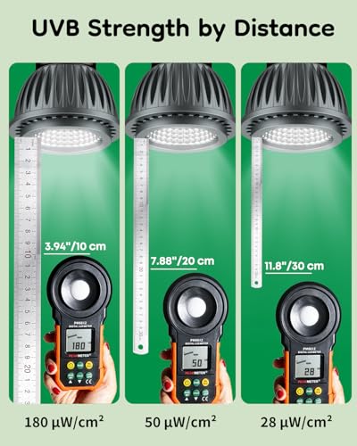 Pawfly UVB Light for Reptiles, 3 W 5.0 UVB Bulb, Tropical Reptile UVA UVB Lamp for Calcium & Vitamin D3 Synthesis, High Intensity LED Lamp for Turtle, Lizard & Red-Footed Tortoise - size: 3 W 5.0 UVB