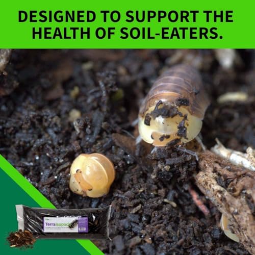 The Bio Dude Terra Isopoda Isopod Bioactive Substrate - 6 quarts - Great for Millipedes, Centipedes, Springtails, Isopod culturing and Keeping. High in Calcium and Trace Elements for Clean up Crew