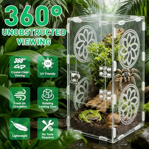 Jumping Spider Enclosure, 11.8"x5.5"x5.9" Acrylic Terrarium Praying Mantis Enclosure with Front Door, Jumping Spider Habitat for Tarantula, Snail, Lizard, Crabs and Small Reptiles