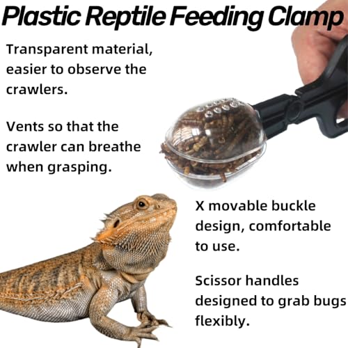 Stainless Steel Reptile Feeding Kit - Tweezers, Spoon, Clamp & Storage Bag - Long Handle Terrarium Feeding Tool for Lizards, Geckos, Spiders & Snakes