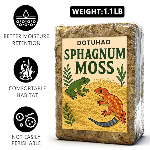 Sphagnum Moss for Reptiles, 1.1LB Terrarium Reptiles Moss Green Dried, Moss Bedding for Turtles, Frogs, Snake, Gecko Reptile Substrate (1.1 LB)