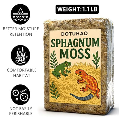 Sphagnum Moss for Reptiles, 1.1LB Terrarium Reptiles Moss Green Dried, Moss Bedding for Turtles, Frogs, Snake, Gecko Reptile Substrate (1.1 LB)