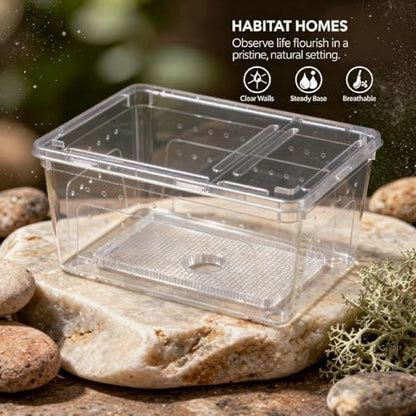 2 Pcs Small Reptile Breeding Box, Clear Plastic Feeding Hatching Container for Small Pets, Portable Reptile Terrarium with Handle, Space Saving 7.5 x 4.9 x 3 in 19 x 12.5 x 7.5 cm