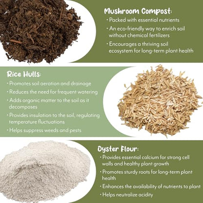 Soil Sunrise Terra-Preta Inspired Potting Soil (2 Quarts) Biochar-Enriched Sustainable Mix for Indoor/Outdoor Plants - size: 2 Quarts