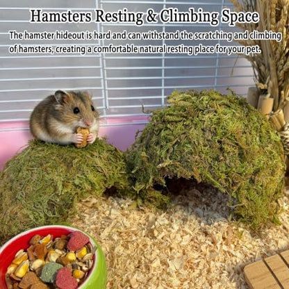 kathson 2Pcs Hamster Hideout, Hamster House, Natural Mossy Coconut Hut, Pet Hiding House, Small Animal Cage Accessories for Mouse Mice Rat Guinea Pigs Reptiles