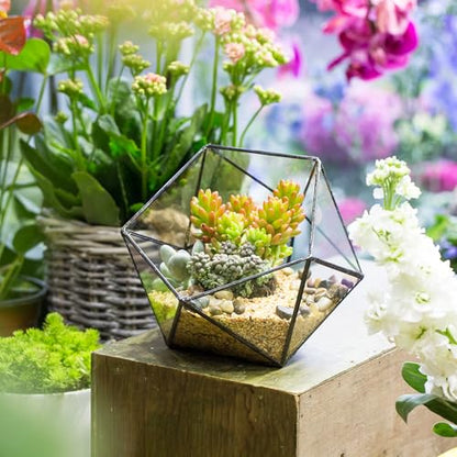 NCYP Opened Geometric Glass Terrarium, 6.69" Bowl Shape Planter for Succulent Plant Cacti, Indoor Balcony Irregular Decor, Garden Miniature Pot, Tabletop Centerpiece (No Plants)