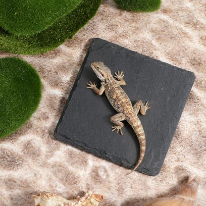 Turtle Basking Platform Slate for Reptiles 3.9 X 3.9 Inch Tortoise Basking Stone for Reptiles Bearded Dragon Accessories for Lizards, Chameleons, Geckos, Turtles, Reptile