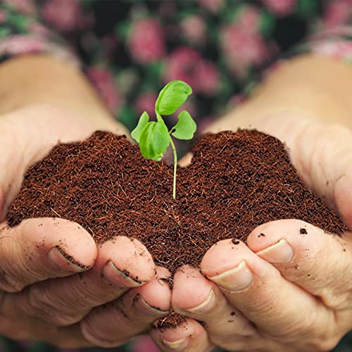 Home and Country Triple Washed Compressed Coco Coir Brick (40 LBS) - Coco Fiber is an Ideal Compost Starter for Your Home Garden. Coco Coir Bricks Provide Organic Alternative to Peat Moss for Plants. - size: 40 Pound