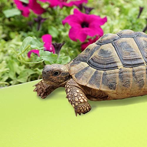 POPETPOP Reptile Carpet Mat for Bearded Dragons Lizards and Snakes Washable Terrarium Liner Extra Substrate for Leopard Geckos and Tortoises Easy Cleanup