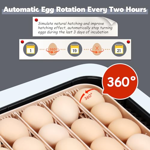 Sailnovo 56 Egg Incubator for Hatching Eggs with Automatic Egg Turning and Auto Humidification, Temperature Control, Egg Candler, Incubator for Chicken Eggs, Grey 18.7'' x 16.14'' x 6.3''