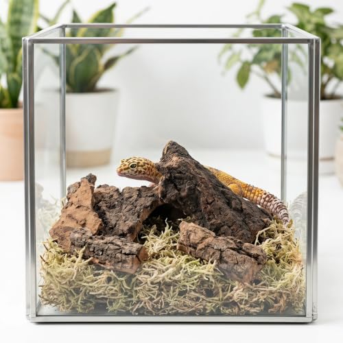1 Set Reptile Bark Bedding: Natural Cork Bark for Reptiles - 0.57LBs Flat Wood Terrarium Substrate Supplies for Snake Spiders Bearded Dragons Hermit Crabs Geckos