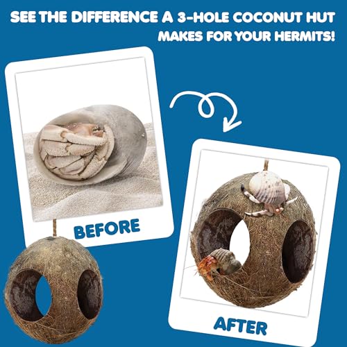 SunGrow Hermit Crab Hut Cozy Crabitat Coconut Shell with Hanging Loop and Climbing Accessory