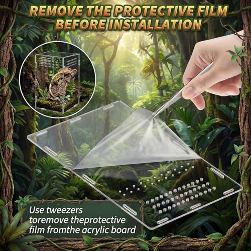 Hushee 2 Pcs Acrylic Jumping Spider Enclosure, 360° Clear Ventilated Reptile Terrarium View, Easy Assembly Secure Pet Habitat, Perfect for Mantis, Frog, Tarantula, Gecko and Small Reptiles