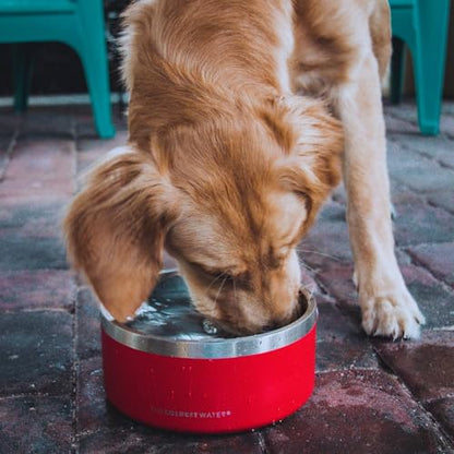 Coldest Dog Bowl - Anti Rust Metal, Non Slip, 3 Layers Insulated Stainless Steel Dog Bowls - Spill Proof & Heavy Duty - Water Bowl for Dogs, Cats & Pets, Dish Washer Safe (100 oz, Candy Red Glitter) - color: Candy Red Glitter, size: 100 oz