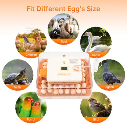 56 Egg Incubator for Hatching Eggs–Smart Auto Turner & Humidity Control, 360° View, Built-in Candler |Hatching Kit with Chick Helmet for Chicken, Duck, Quail | Ideal for Home & Classroom