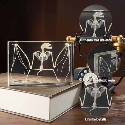 Taxidermy Bat and Real Bat Specimens Mounted in Resin, Ideal Gift for Fans of Taxidermy, Animal Skulls, Oddities, and Biology (Bat Skeleton (5.3x3.5x1.3 Inch)) - color: Bat Skeleton (5.3x3.5x1.3 Inch)