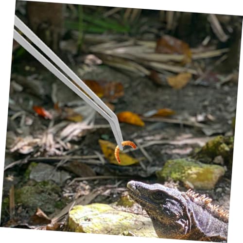 TOYANDONA Aquascaping Tweezers Long Tweezers for Fish Bone Reptile Feeding Tongs Precision Stainless Steel Fish Tank Tools