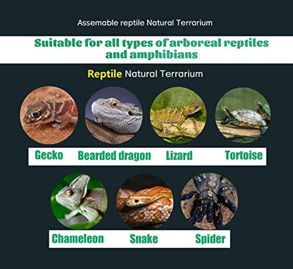 Woyrise 5Pcs Reptile Feeding Kit, 3Pcs Stainless Steel Feeding Tongs, Rubber Tipped Soft Tweezers, Bug Feeder Cricket Clamp, 2Pcs Reptile Food Dish Water Bowl for Reptiles,Gecko,Bearded Dragon, Spider