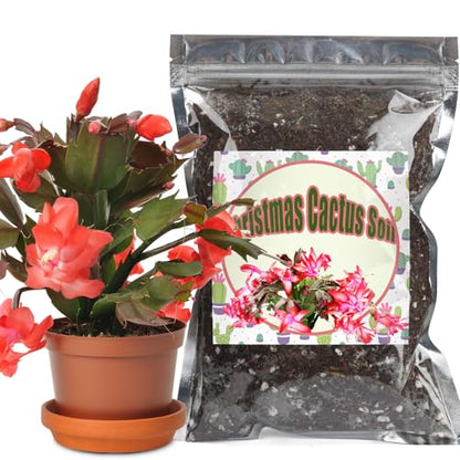 Doter Christmas Cactus Potting Soil Mix 2qt, Ideal for Succulents, Christmas Cacti, and Other Indoor Potted Plantings - size: 2qt