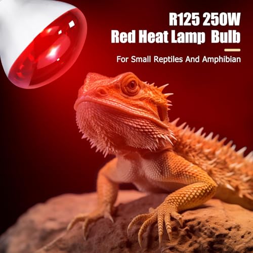 250W Infrared Heat Lamp for Chicken, Red Heat Light Bulb R125 1 Pack, Heat Lamp Bulb for Chick Croop, Reptiles, Pets, Food - size: 1PCS