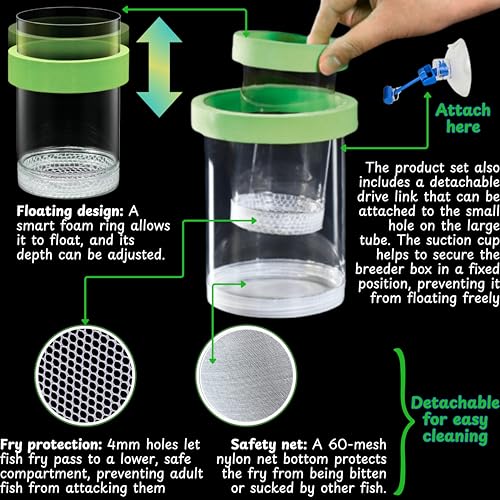 Betta Guppy Breeding Box for Fish Tank and Artificial Plants, Floating Guppy Breeding Box with Suction Cups, Acrylic Breeder Isolation Incubator for Aquarium Tank, Hatchery Breeder Chamber (Green, M)