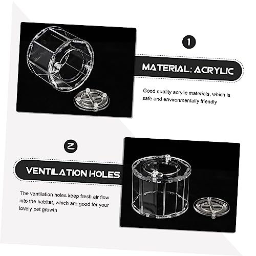Transparent Acrylic Breeding Box for Reptiles and Pets Compact Display Case for Lizards Insects and Spiders Lightweight Easy to Use Habitat Holder