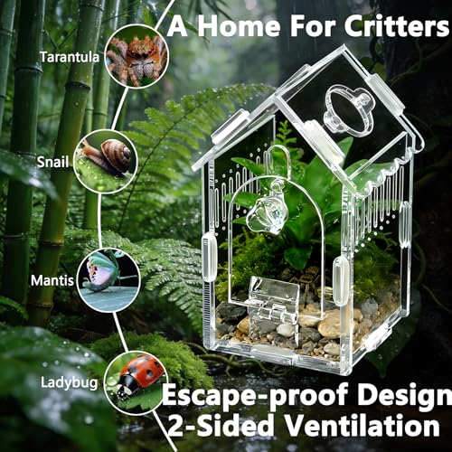 House-Shaped Acrylic Insect Terrarium & Reptile Habitat - Multi-Purpose Insect Enclosure for Jumping Spiders - Clear Acrylic Insect Cage with Ventilation, Easy Maintenance - size: Acrylic House