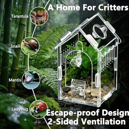 House-Shaped Acrylic Insect Terrarium & Reptile Habitat - Multi-Purpose Insect Enclosure for Jumping Spiders - Clear Acrylic Insect Cage with Ventilation, Easy Maintenance - size: Acrylic House